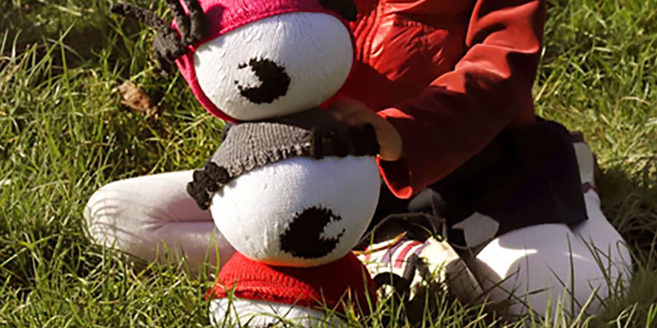 LAMI Wool Kit