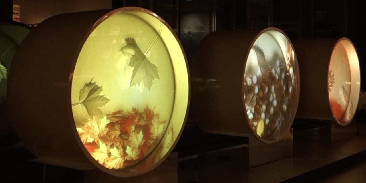 PIGMENT Lab (Tokyo 2015)